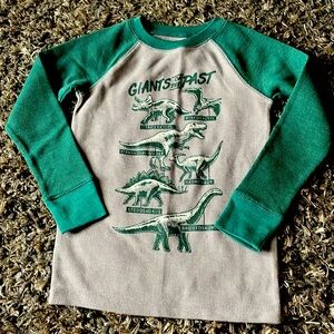 Boys long sleeve dino shirt